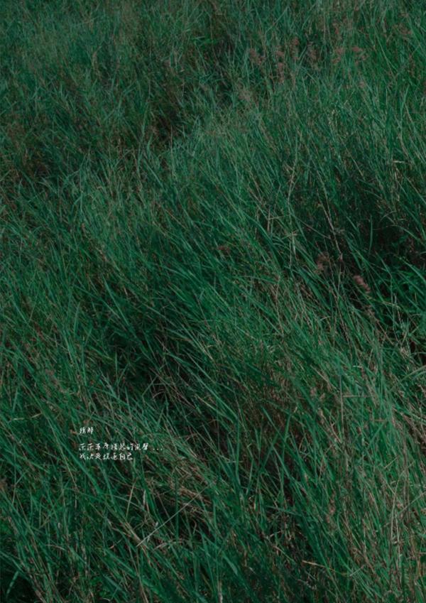 PHOTO-SET-Whoseman-1-吳敵警長來囉~~~我的靴子裡有蛇